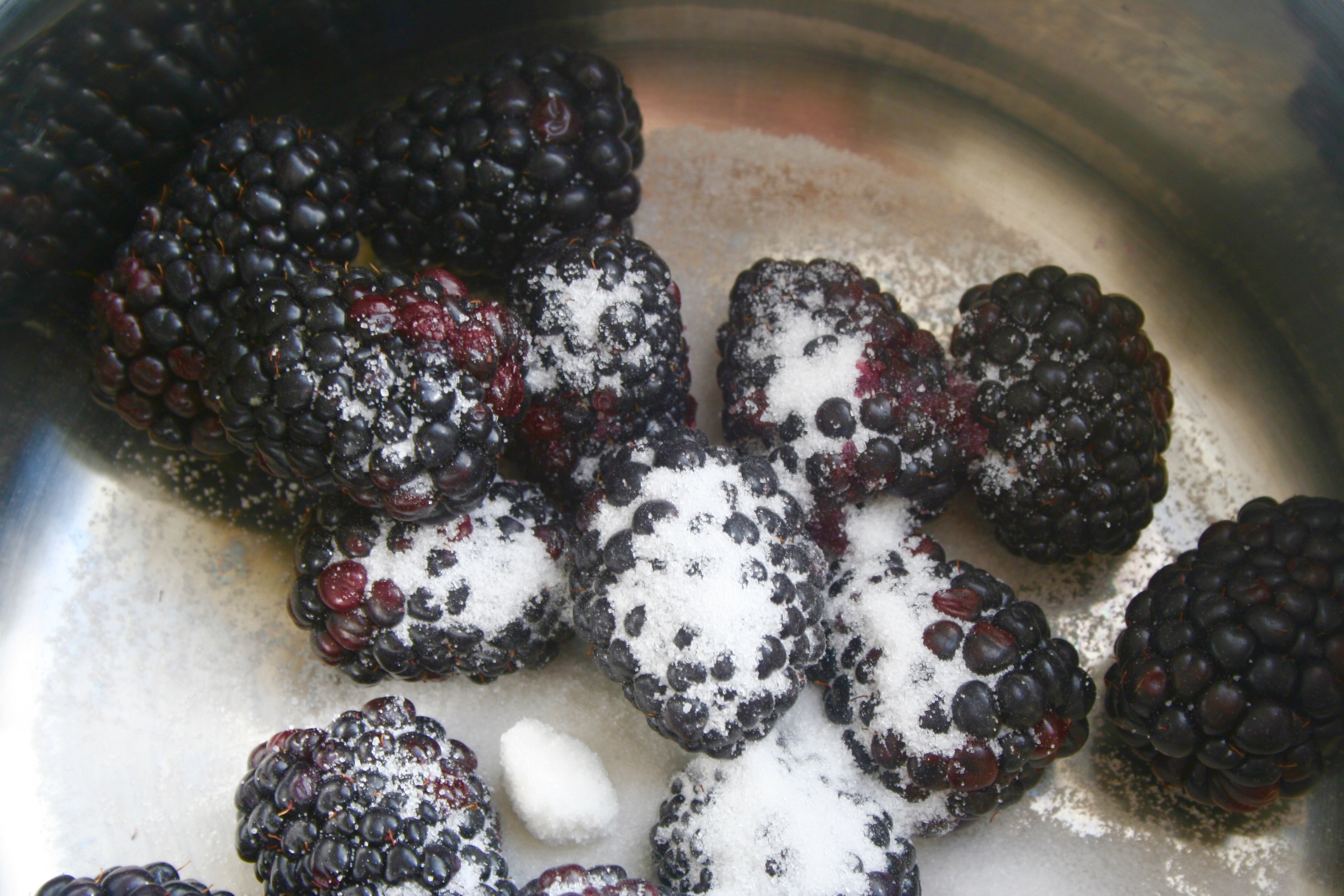 blackberries