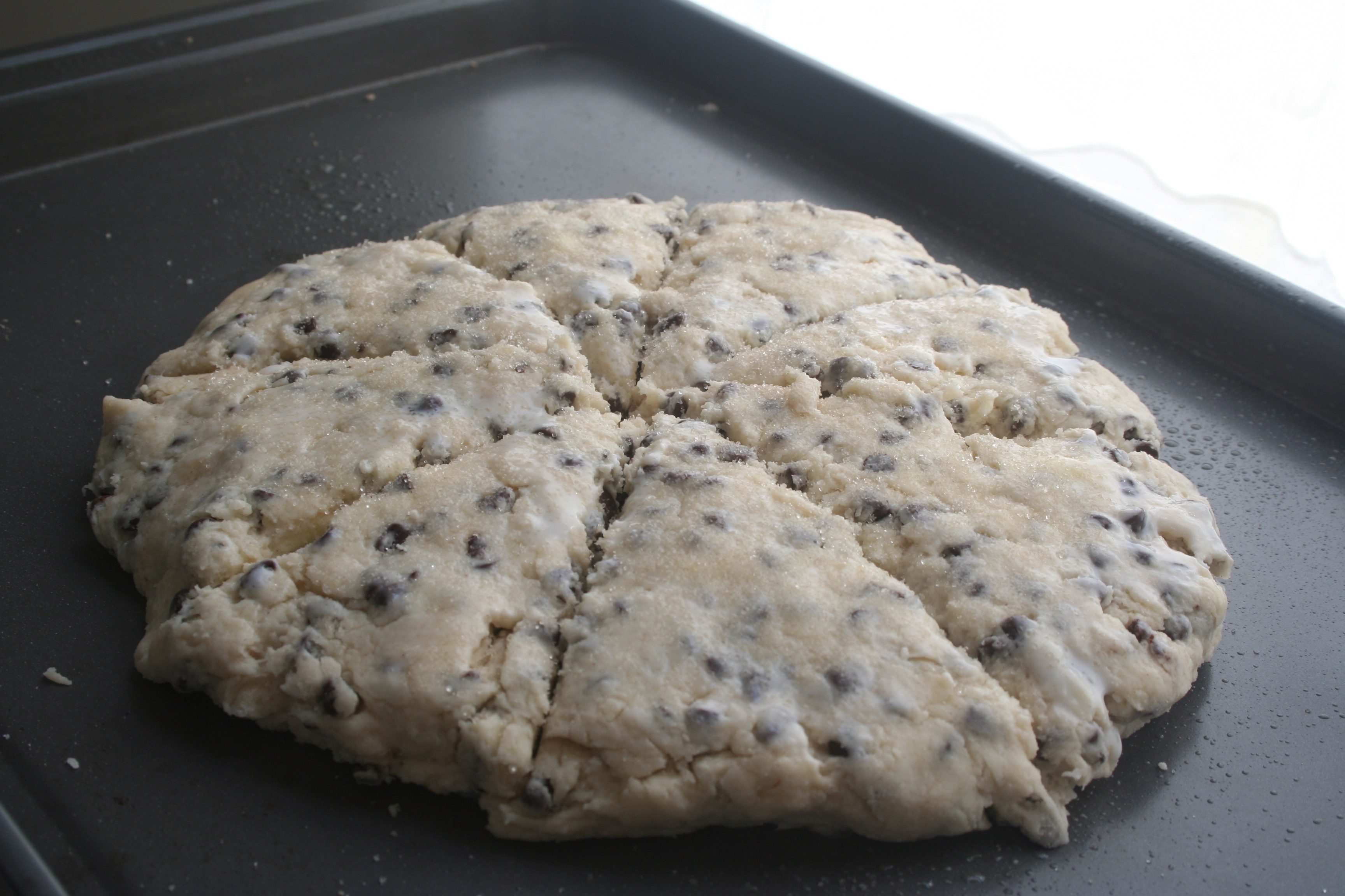 chocolate chip buttermilk scones