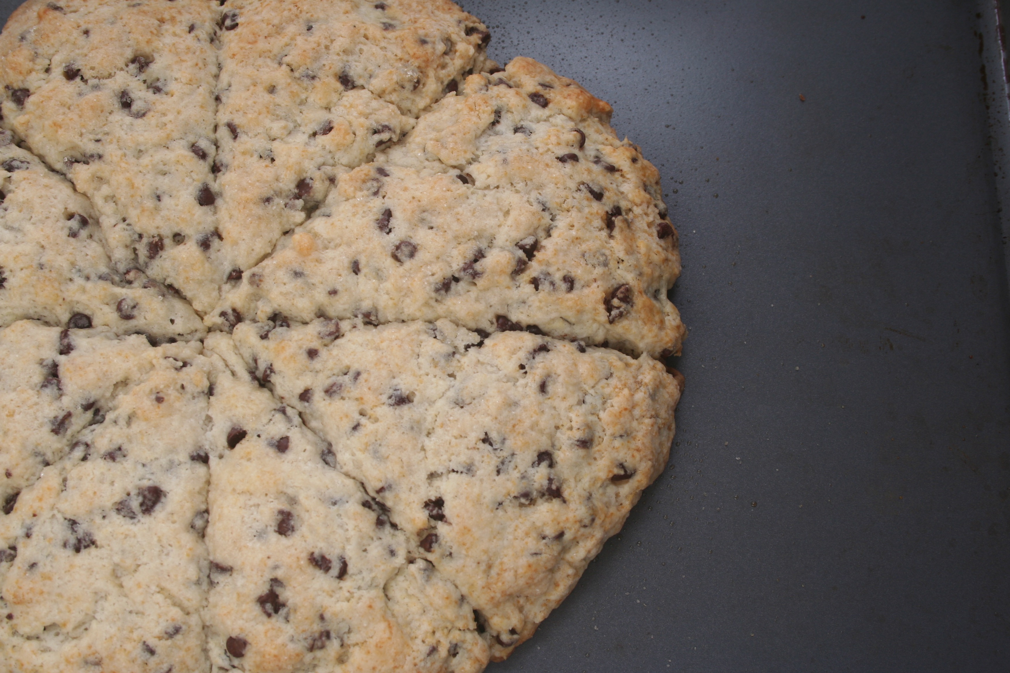 chocolate chip buttermilk scones