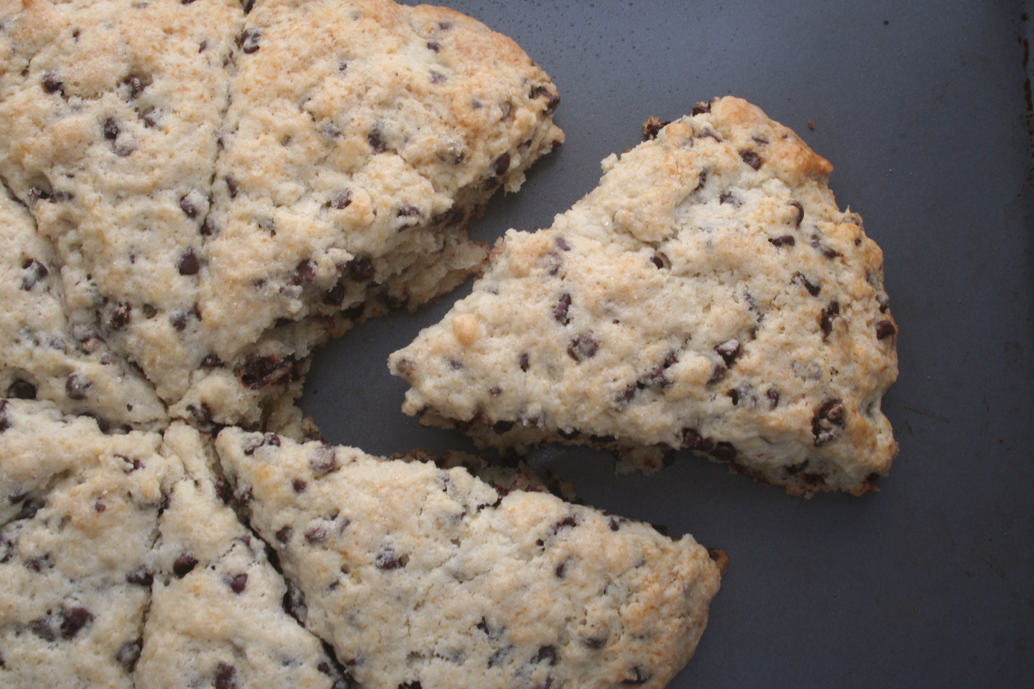 chocolate chip buttermilk scones