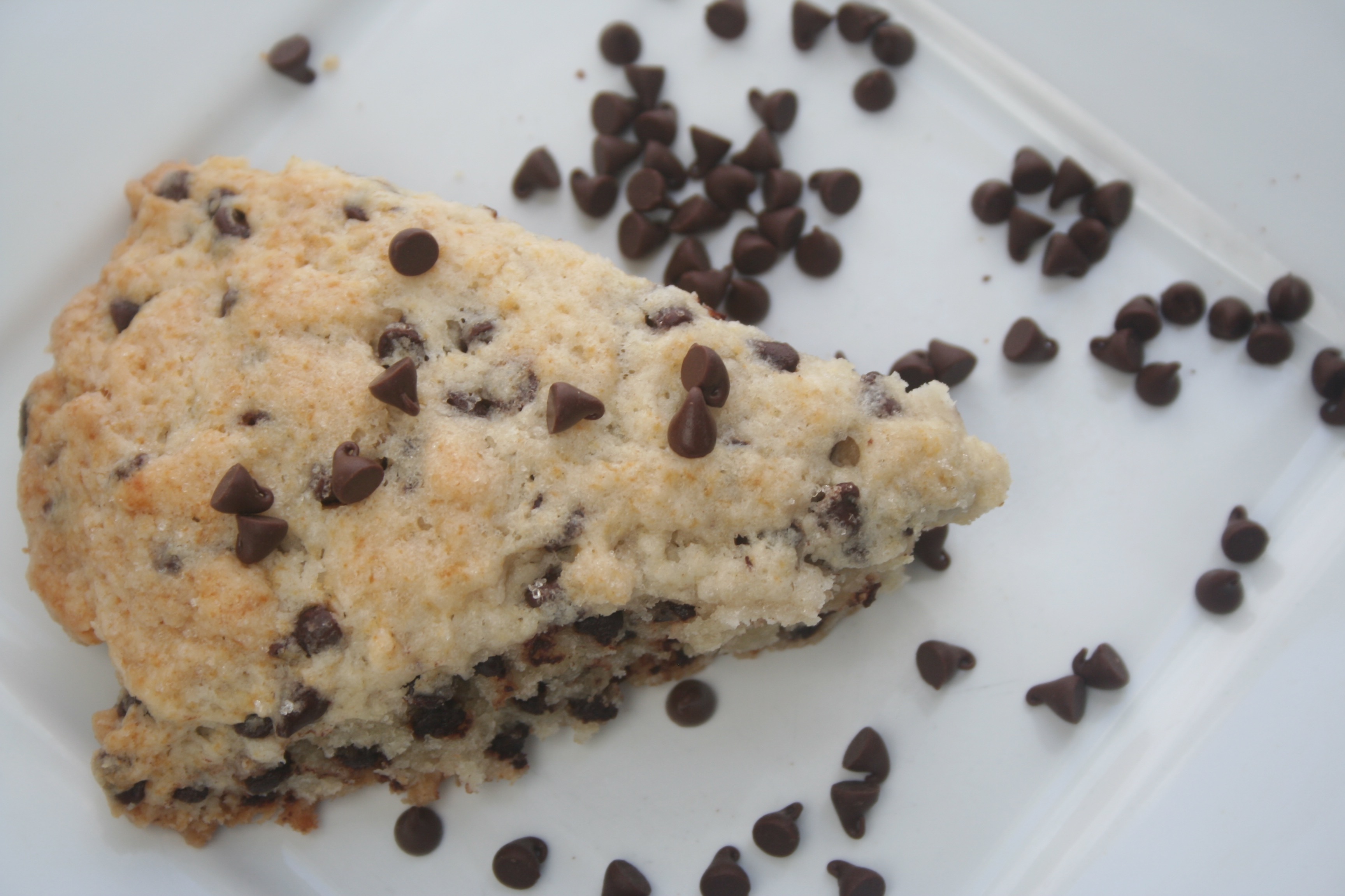 chocolate chip buttermilk scones