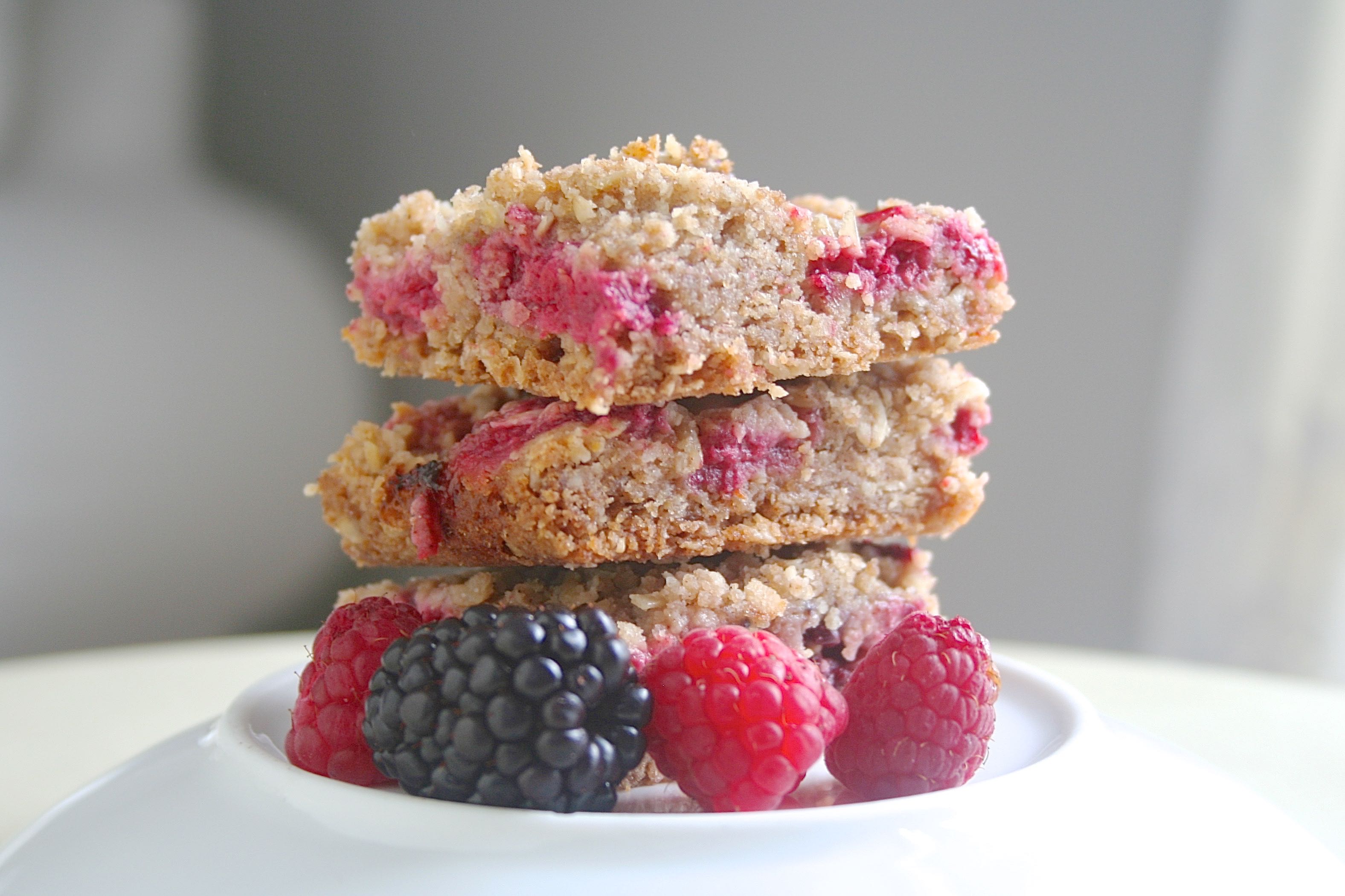 berry breakfast bars